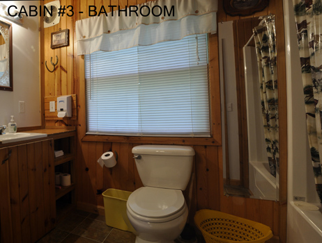 Cabin #3 Bathroom 2