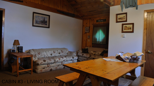 Cabin #3 Living Room 2