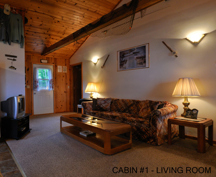 Cabin #1 Living Room