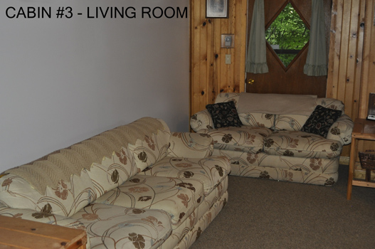 Cabin #3 Living Room